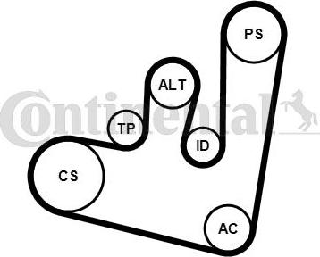Contitech 6PK1660K1 - Ķīļrievu siksnu komplekts ps1.lv