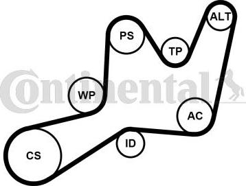 Continental 6PK1605WP1 - Ūdenssūknis + ķīļrievu siksnas komplekts ps1.lv