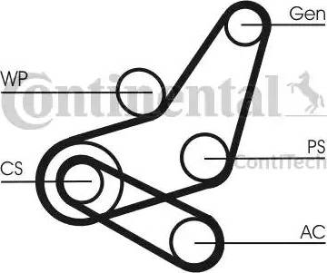 Continental 6PK1059 ELAST T2 - Ķīļrievu siksnu komplekts ps1.lv