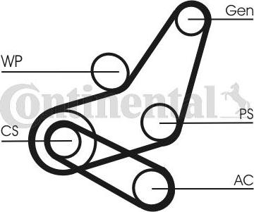 Contitech 6PK1059 ELAST T2 - Ķīļrievu siksnu komplekts ps1.lv