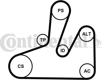 Contitech 6PK1740K4 - Ķīļrievu siksnu komplekts ps1.lv