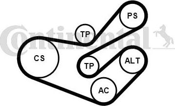 Contitech 6PK1750K3 - Ķīļrievu siksnu komplekts ps1.lv