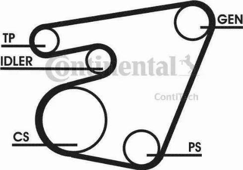 Continental 6PK1750D1 - Ķīļrievu siksnu komplekts ps1.lv