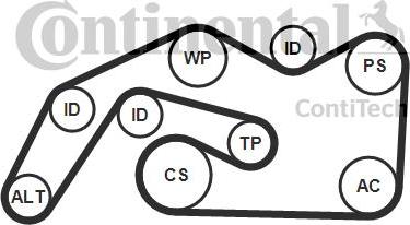 Continental 6PK2490K1 - Ķīļrievu siksnu komplekts ps1.lv