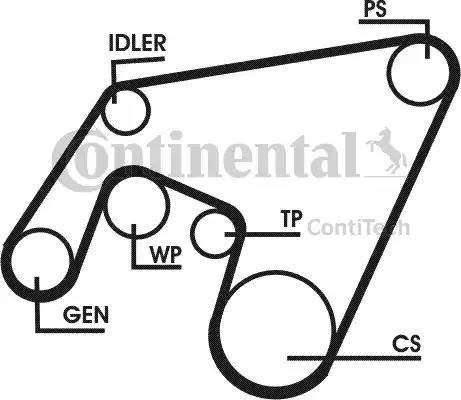 Continental 6PK2196D1 - Ķīļrievu siksna ps1.lv