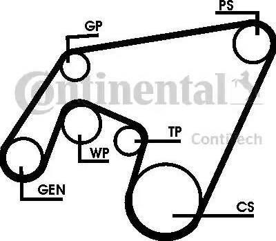 Continental 6PK2264D1 - Ķīļrievu siksnu komplekts ps1.lv