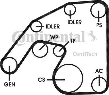 Continental 6PK2260D2 - Ķīļrievu siksnu komplekts ps1.lv