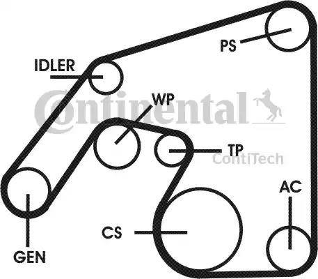 Continental 6PK2260D3 - Ķīļrievu siksnu komplekts ps1.lv