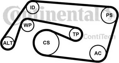 Continental 6PK2260K2 - Ķīļrievu siksnu komplekts ps1.lv