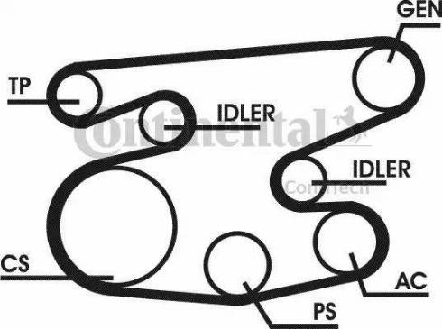 Continental 6PK2215D1 - Ķīļrievu siksnu komplekts ps1.lv