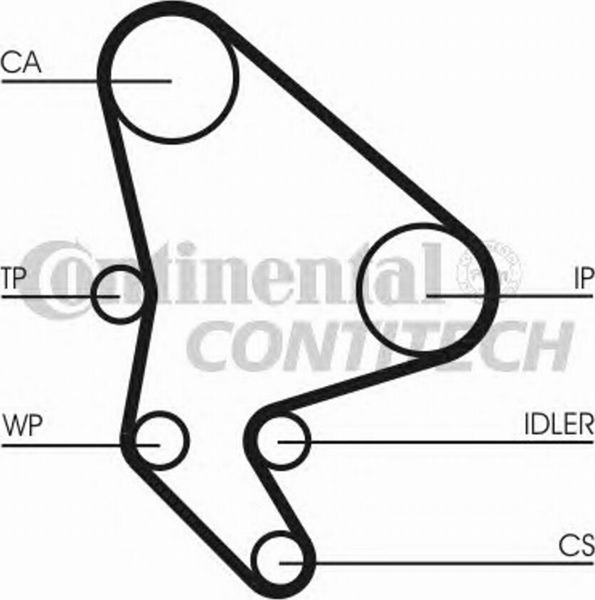 CONTITECH CT986WP1 -  ps1.lv