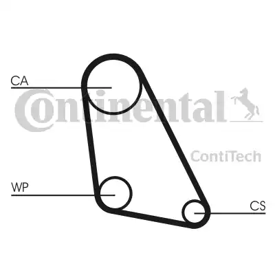 Continental CT534 - Zobsiksna ps1.lv