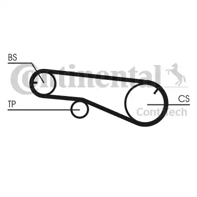 Continental CT1141 - Zobsiksna ps1.lv