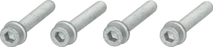 CONTINENTAL MS13 - Skrūvju komplekts, Piedziņas skriemelis-Kloķvārpsta ps1.lv