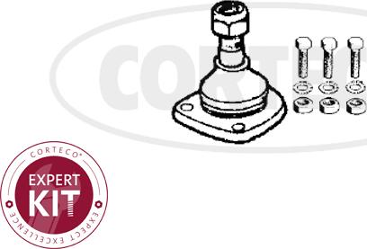 Corteco 49395750 - Balst / Virzošais šarnīrs ps1.lv