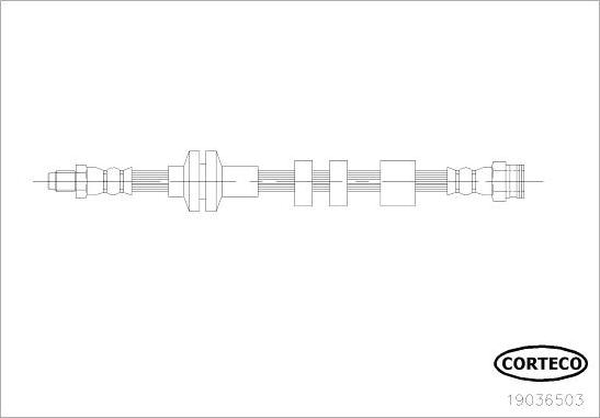 Corteco 19036503 - Bremžu šļūtene ps1.lv