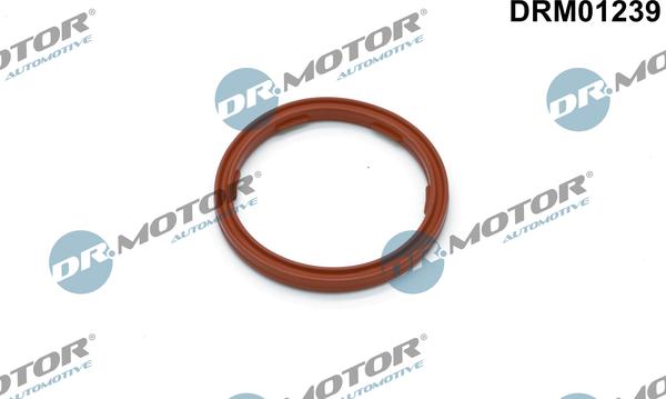 Dr.Motor Automotive DRM01239 - Blīvgredzens, Motoreļļas līmeņa devējs ps1.lv
