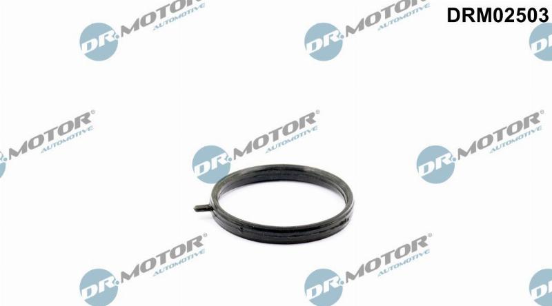 Dr.Motor Automotive DRM02503 - Blīve, Dzesēšanas šķidruma caurule ps1.lv