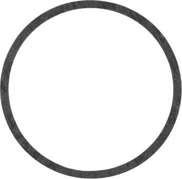 Elring 660.702 - Blīve, Cilindra čaula ps1.lv