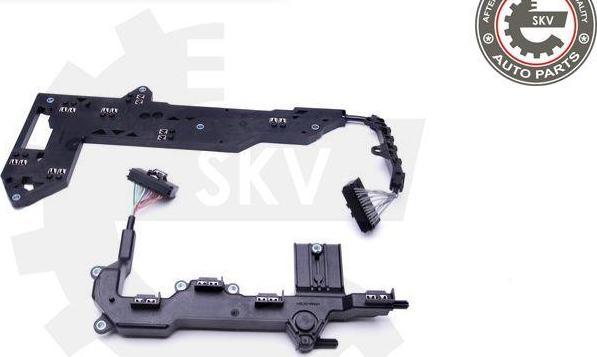 Esen SKV 96SKV065 - Remkomplekts, Automātiskās pārnesumkārbas flancis ps1.lv