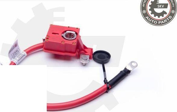 Esen SKV 96SKV302 - Akumulatoru baterijas adapteris ps1.lv