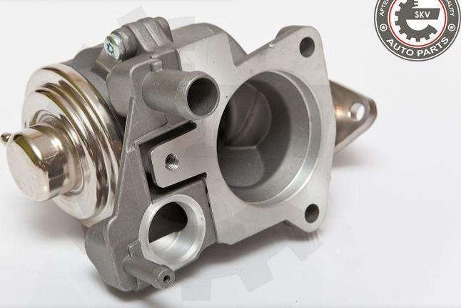 Esen SKV 14SKV063 - Izpl. gāzu recirkulācijas vārsts ps1.lv