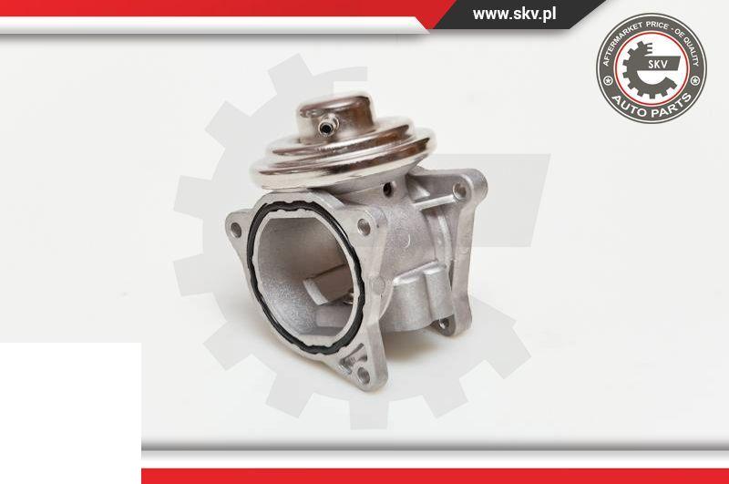 Esen SKV 14SKV019 - Izpl. gāzu recirkulācijas vārsts ps1.lv
