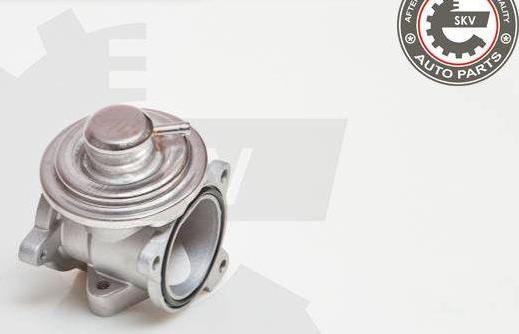 Esen SKV 14SKV034 - Izpl. gāzu recirkulācijas vārsts ps1.lv