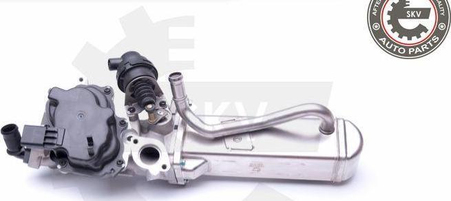 Esen SKV 14SKV158 - Izpl. gāzu recirkulācijas vārsts ps1.lv