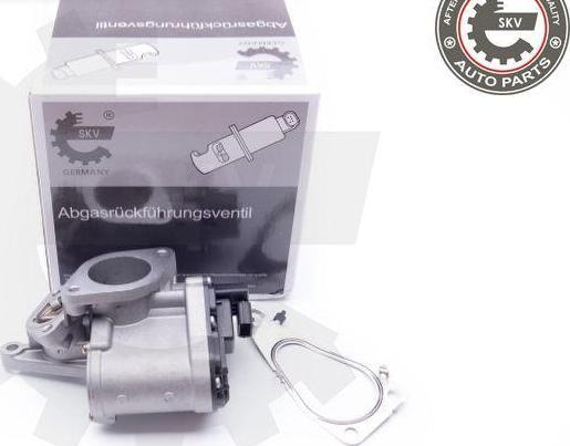 Esen SKV 14SKV165 - Izpl. gāzu recirkulācijas vārsts ps1.lv