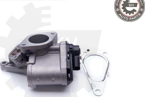 Esen SKV 14SKV168 - Izpl. gāzu recirkulācijas vārsts ps1.lv