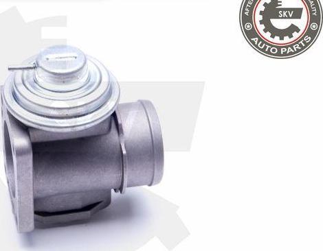 Esen SKV 14SKV174 - Izpl. gāzu recirkulācijas vārsts ps1.lv