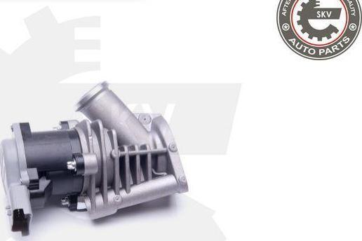 Esen SKV 14SKV173 - Izpl. gāzu recirkulācijas vārsts ps1.lv