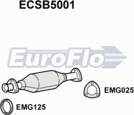 EuroFlo ECSB5001 - Katalizators ps1.lv