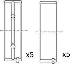 FAI AutoParts BM1001-025 - Kloķvārpstas gultnis ps1.lv