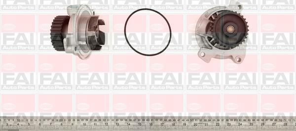 FAI AutoParts WP6058 - Ūdenssūknis ps1.lv