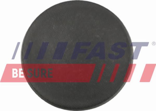 Fast FT96904 - Durvju apdare ps1.lv