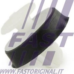 Fast FT96309 - Moldings / aizsarguzlika ps1.lv