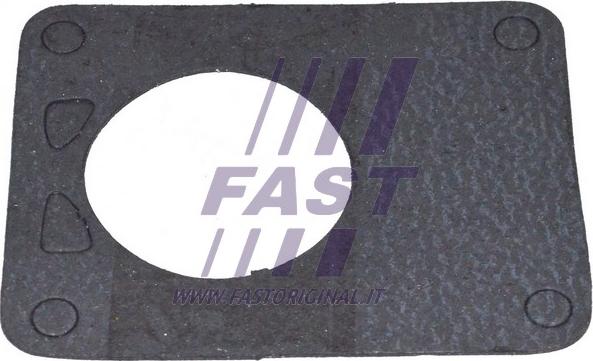 Fast FT49901 - Blīve, Vakuumsūknis ps1.lv