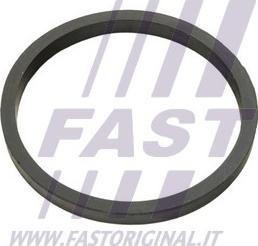 Fast FT49924 - Blīve, Eļļas radiators ps1.lv