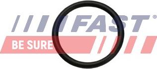 Fast FT49926 - Blīve, Apsildes iekārtas korpusa vārsts ps1.lv