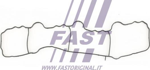 Fast FT49430 - Blīve, Ieplūdes kolektors ps1.lv