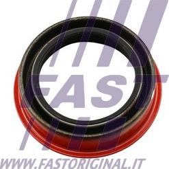 Fast FT49851 - Vārpstas blīvgredzens, Diferenciālis ps1.lv