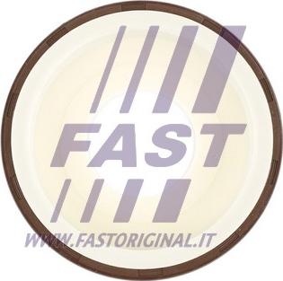 Fast FT49817 - Vārpstas blīvgredzens, Kloķvārpsta ps1.lv
