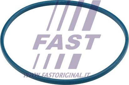 Fast FT48504 - Blīve, Degvielas ieliešanas caurule ps1.lv