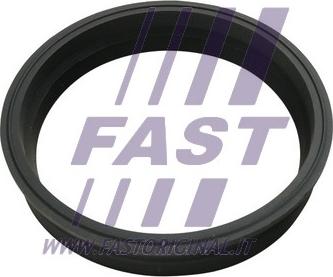 Fast FT48501 - Blīve, Degvielas daudzuma devējs ps1.lv