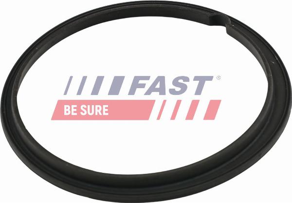 Fast FT48502 - Blīve, Degvielas daudzuma devējs ps1.lv