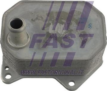 Fast FT55414 - Eļļas radiators, Motoreļļa ps1.lv