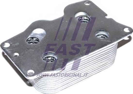 Fast FT55292 - Eļļas radiators, Motoreļļa ps1.lv