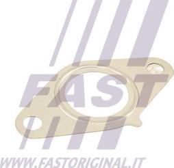 Fast FT50616 - Blīve, Izplūdes gāzu recirkulācijas vārsts ps1.lv